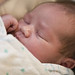 Aaron Wolski Photo 2
