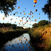 Dawn Carver Photo 7