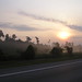 Misty Grace Photo 5