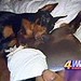 Stacy Willard Photo 5
