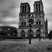 May Le Photo 7