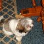 Anne Decker Photo 27