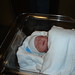 Lynn Ivey Photo 11