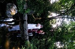 Nancy Ryan Photo 16