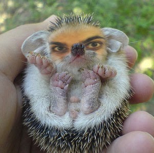Ethan Hova Photo 2