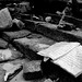 Sao Liu Photo 9
