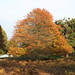 Thomas Hagemann Photo 12