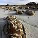 Wells Doty Photo 10