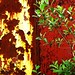 Rusty Wall Photo 12