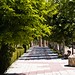 Jaime Flechas Photo 10