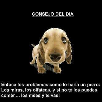 Jose Caballero Photo 18