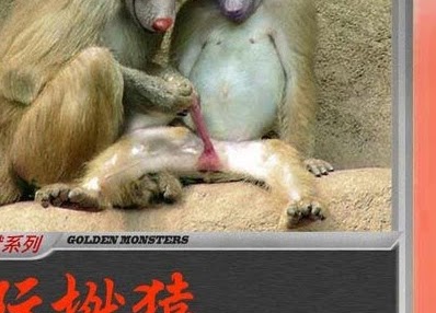 Kwok Wong Photo 32