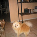 Bobby Cooper Photo 13
