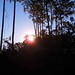 John Korona Photo 2