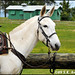 John Rode Photo 10