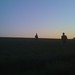 Jared Wheat Photo 8
