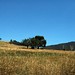 Meredith Paddock Photo 10