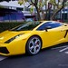 Scott Lambo Photo 3