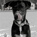 Theodore Dane Photo 5