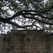 Travis Dickinson Photo 13