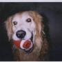 Michael Loper Photo 21