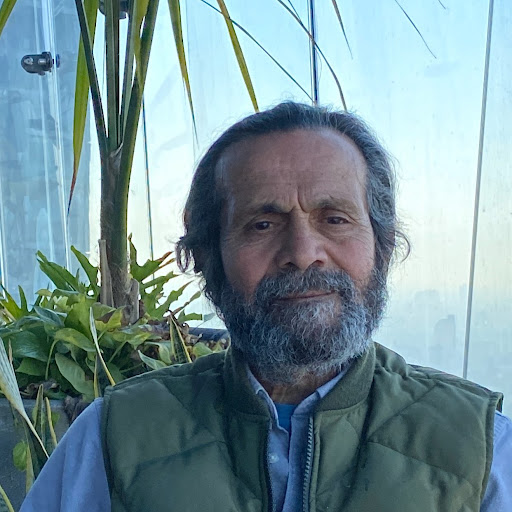 Ali Salamat Photo 18