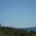 Rosa Hill Photo 14