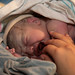 Zachary Small Photo 13