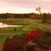 Holly Meadows Photo 6
