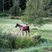 Amy Neighbors Photo 10