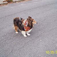Sandra Turgeon Photo 13