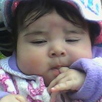 Eliseo Robles Photo 19
