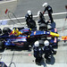 Robert Carlin Photo 20