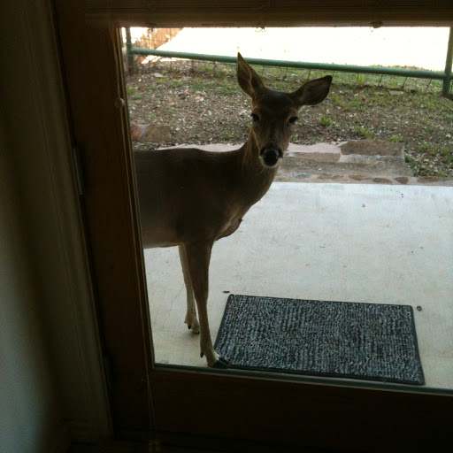Darlene Murray Photo 24