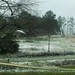Michael Ragland Photo 11