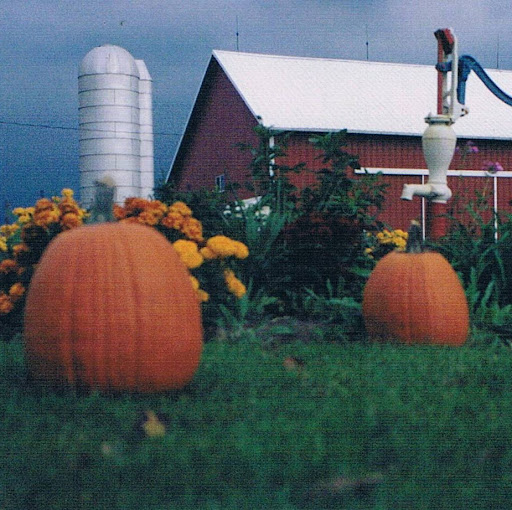Cindy Barber Photo 19