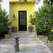 Ivette Soler Photo 7