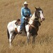 Sue Brooks Photo 10