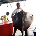 Ray Fish Photo 12