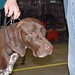German Cobo Photo 9