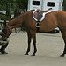 Willie Bridget Photo 8