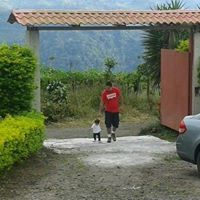 Marco Poveda Photo 25