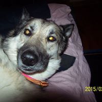 Robert Kiefert Photo 2