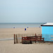 Susan Hoek Photo 3