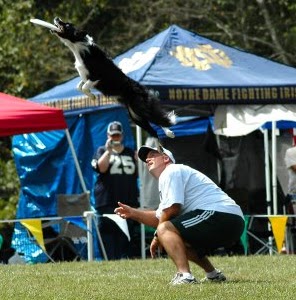 Mark Muir Photo 30