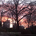 Jan Park Photo 12