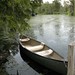 Matthew Ehlers Photo 4