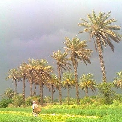 Hamid Baloch Photo 16