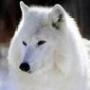 Susan Harrell Photo 16