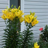 Joan Welch Photo 24